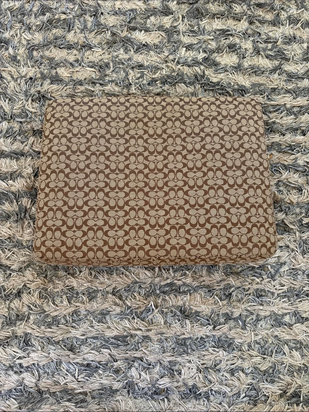 Coach designer tech
